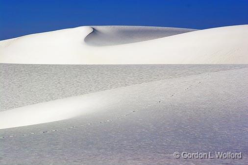 White Sands_32270.jpg - Photographed at the White Sands National Monument near Alamogordo, New Mexico, USA.